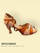 2397 Chaussures de danse latine SOUL DANCE pour femme