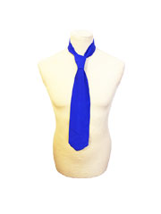 Mens' tie-blue