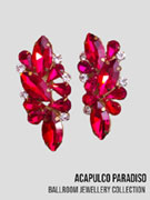 AC0517 boucles d'oreilles  grosses pierres fuchsia